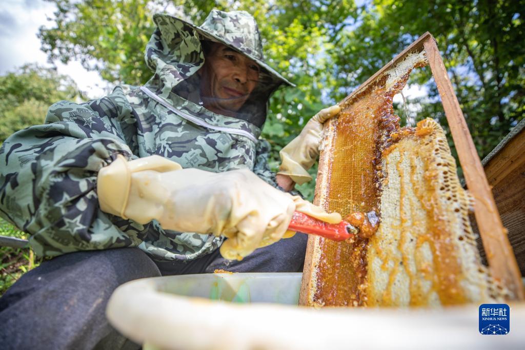 富贵娱乐棋牌